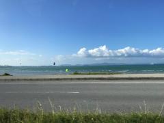 alb_277052428m.jpg