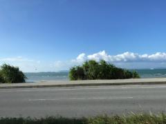 alb_277052436m.jpg