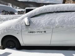 alb_292542291m.jpg