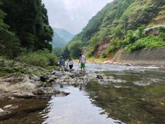 alb_370536720m.jpg